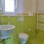 Borak Омиш