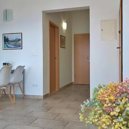 Borak Apartamento